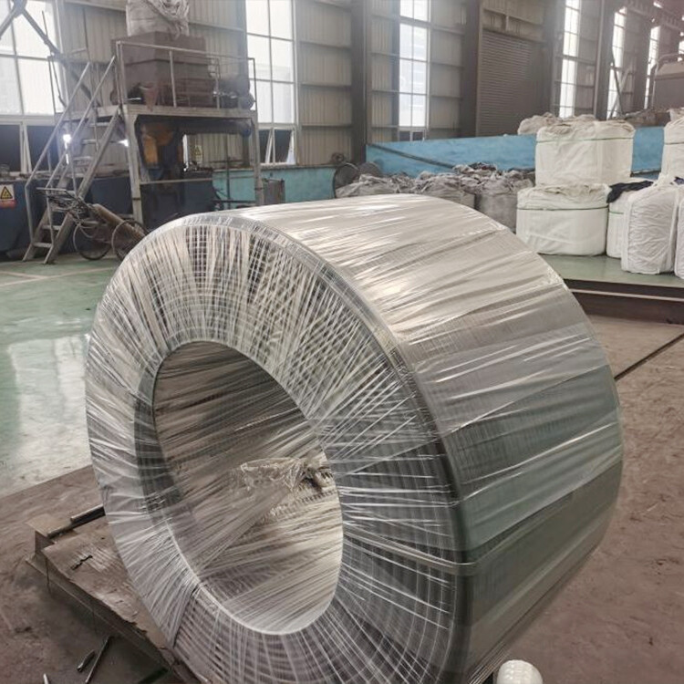 Calcium silicon wire