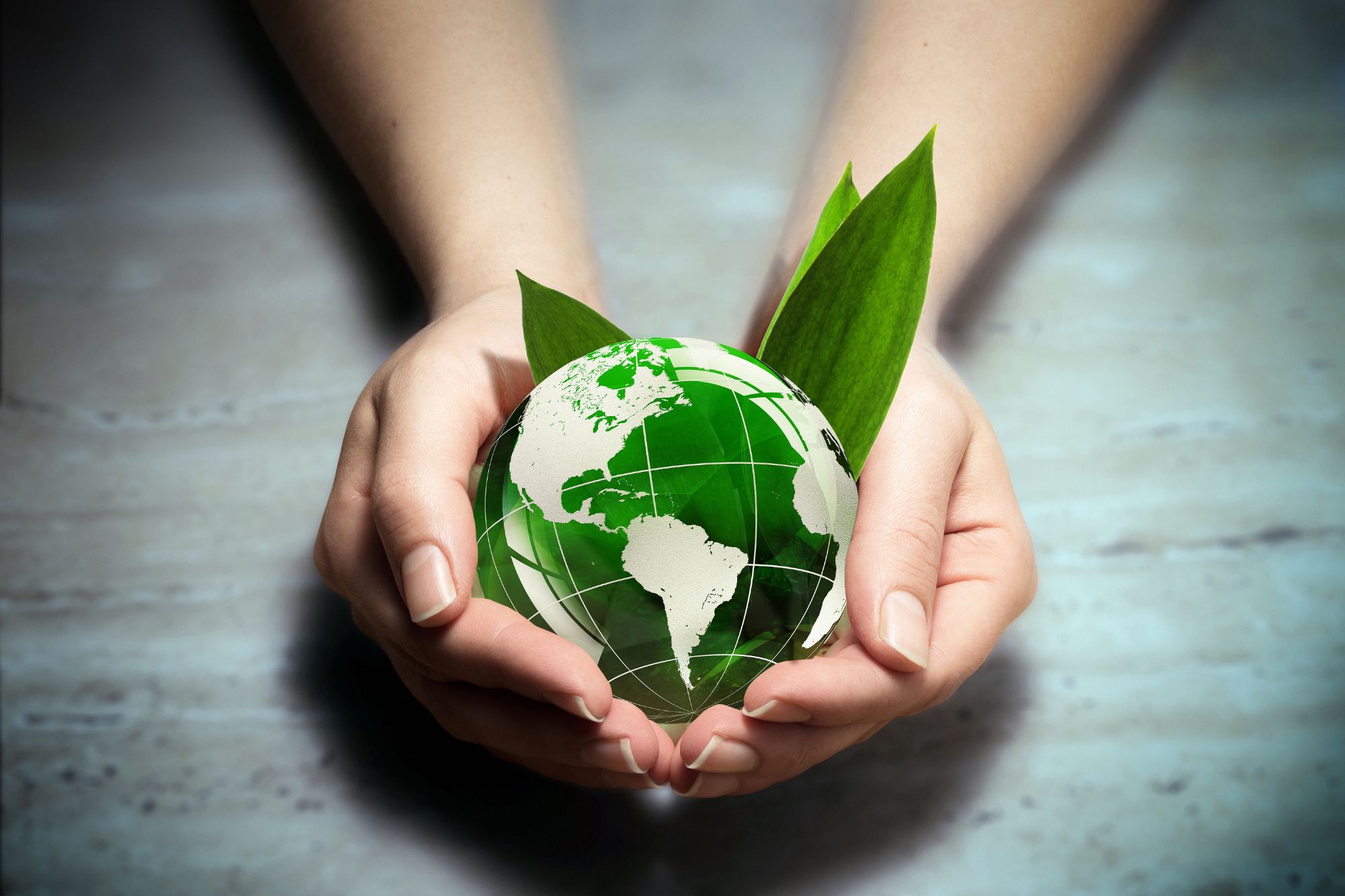 GREEN CHEMICAL ADVOCATE Environmental Protection – Paini's Unyielding Endeavors