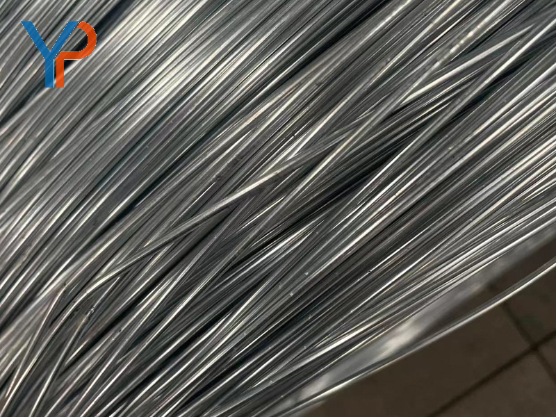 Galvanized Steel Wire
