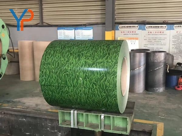 Color Coated Coil