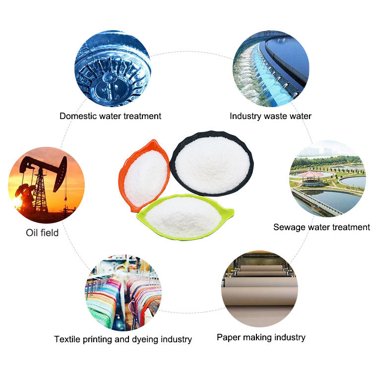 PAM APPLICATION-2.jpg