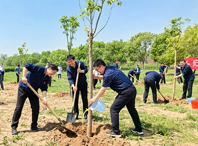 Shandong Risheng Wood Industry helps environmental protection and protects green waters and green mountains