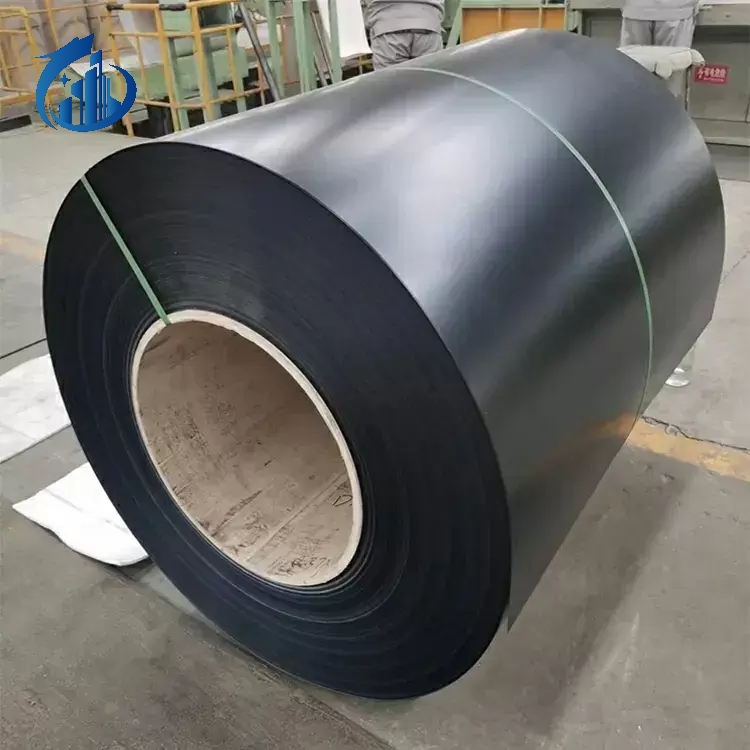 Color Coated Steel Coil (Ppgi)