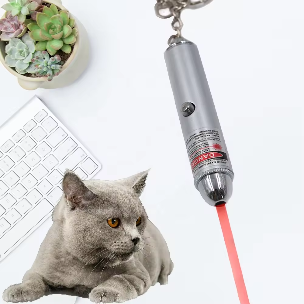 Bulk Red Set Magic Interactive laser Flashing Teaser Hunt Treat Cat Toys