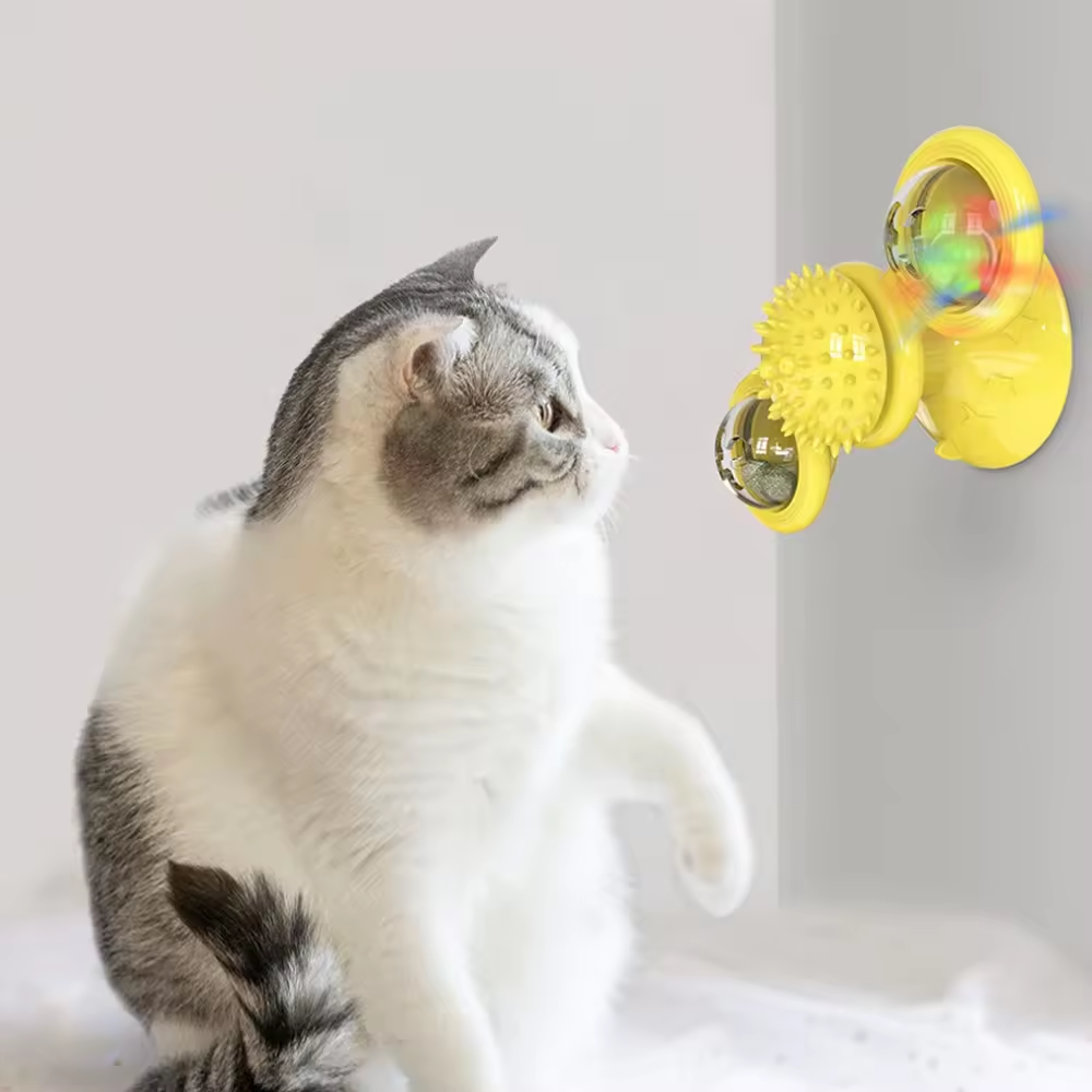 These types of cat toys are cheap and practical, and the key is that cats love to play with them These types of cat toys are cheap and practical, and the key is that cats love to play with them