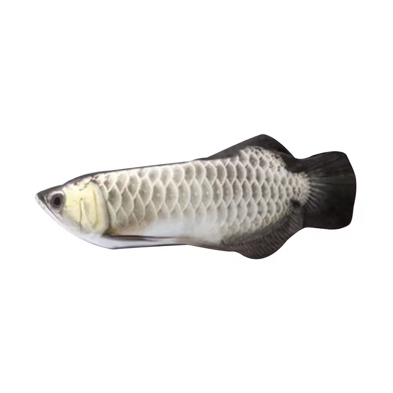 Wholesale Interactive Realistic Dropshipping Simulation Electronic Scratcher USB Charging Wiggle Moving Fish Pet Toy