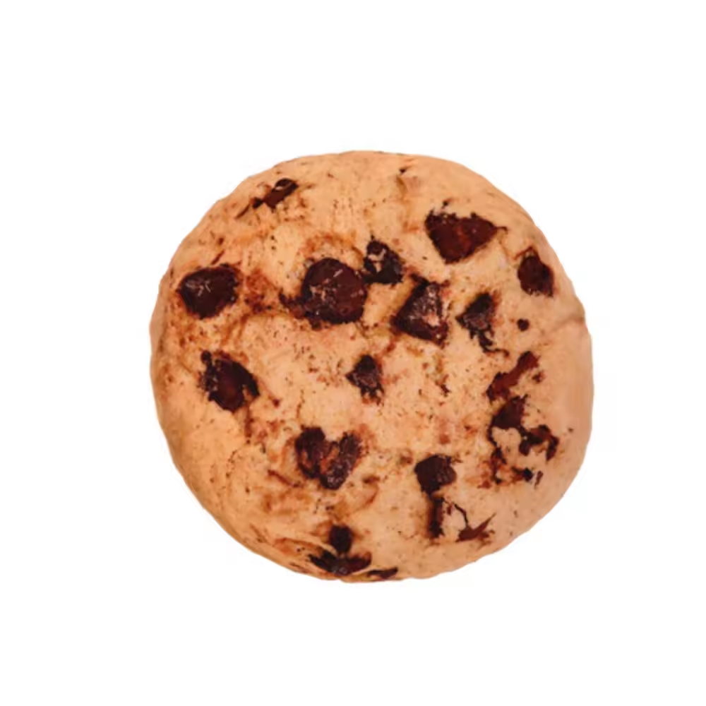 Big Size Interactive Simulation Puppy Squeaky Pet Chewy Dog Cat Toys