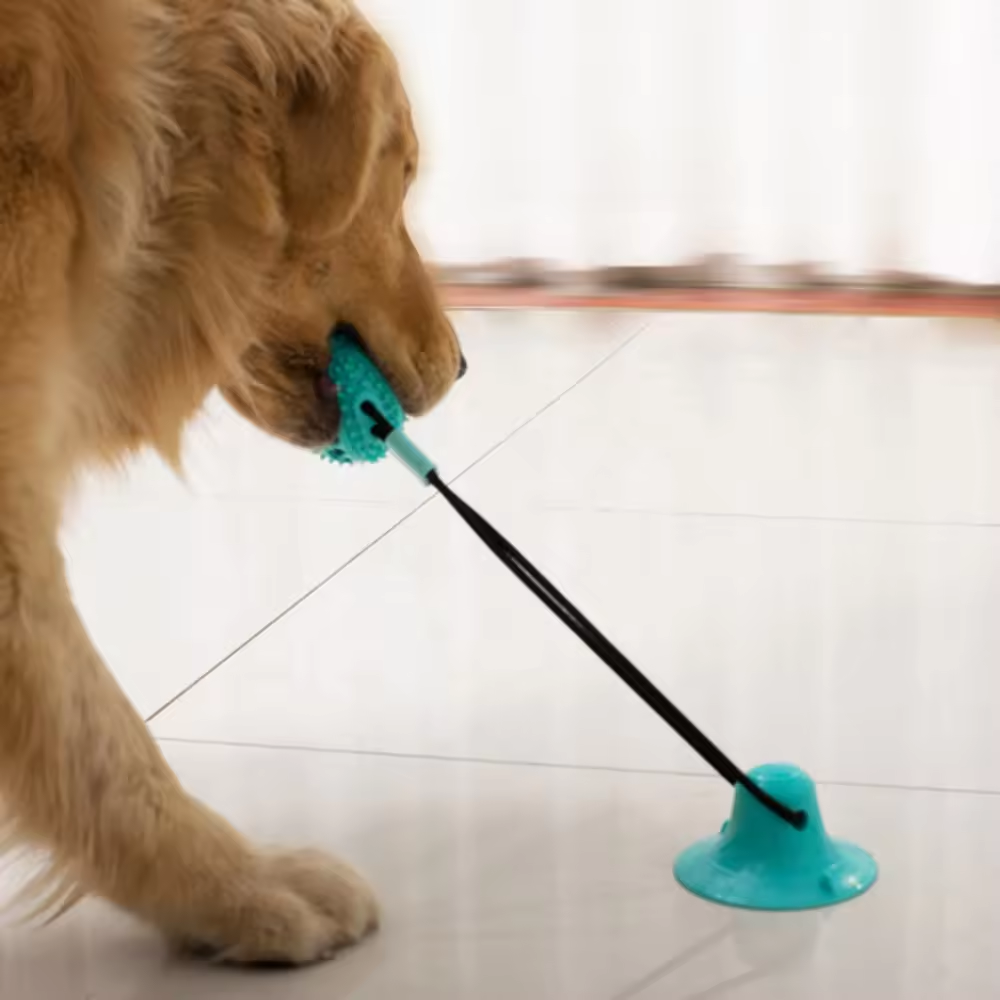 High Quality Interactive TPR Rubber Rope Food Leakage Dog Chew Toy