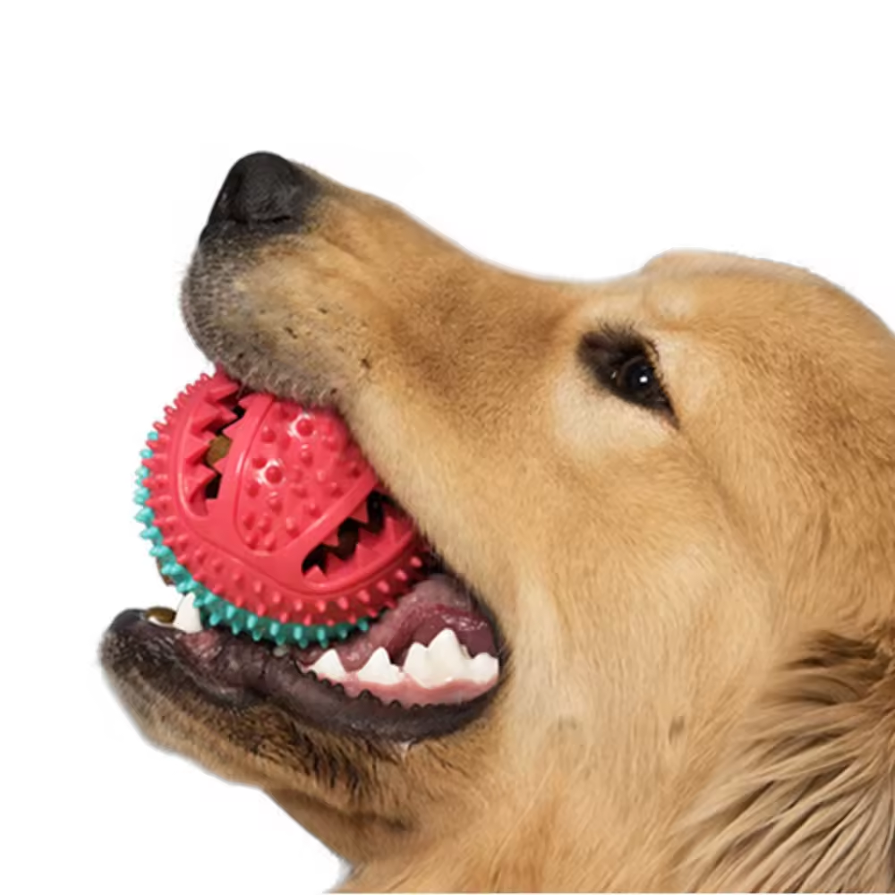 High Quality Interactive TPR Rubber Rope Food Leakage Dog Chew Toy