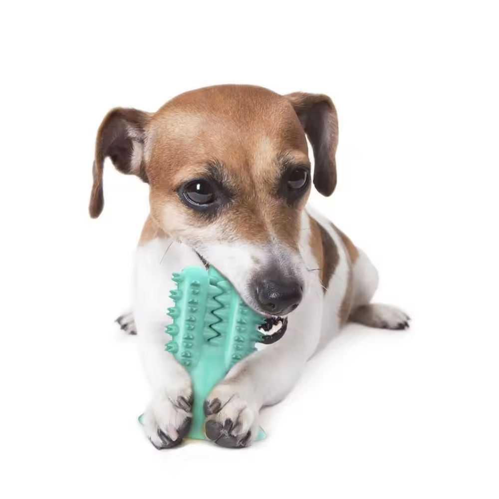 Hot Sale Interactive Toothbrush Food Leakage Rubber Dogs Chew Toys Hot Sale Interactive Toothbrush Food Leakage Rubber Dogs Chew Toys