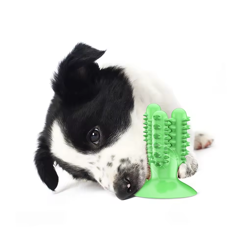 Hot Sale Interactive Toothbrush Food Leakage Rubber Dogs Chew Toys