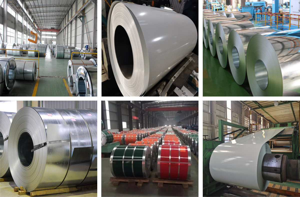 下载 (1).jpg DX53D Color Coated Roll