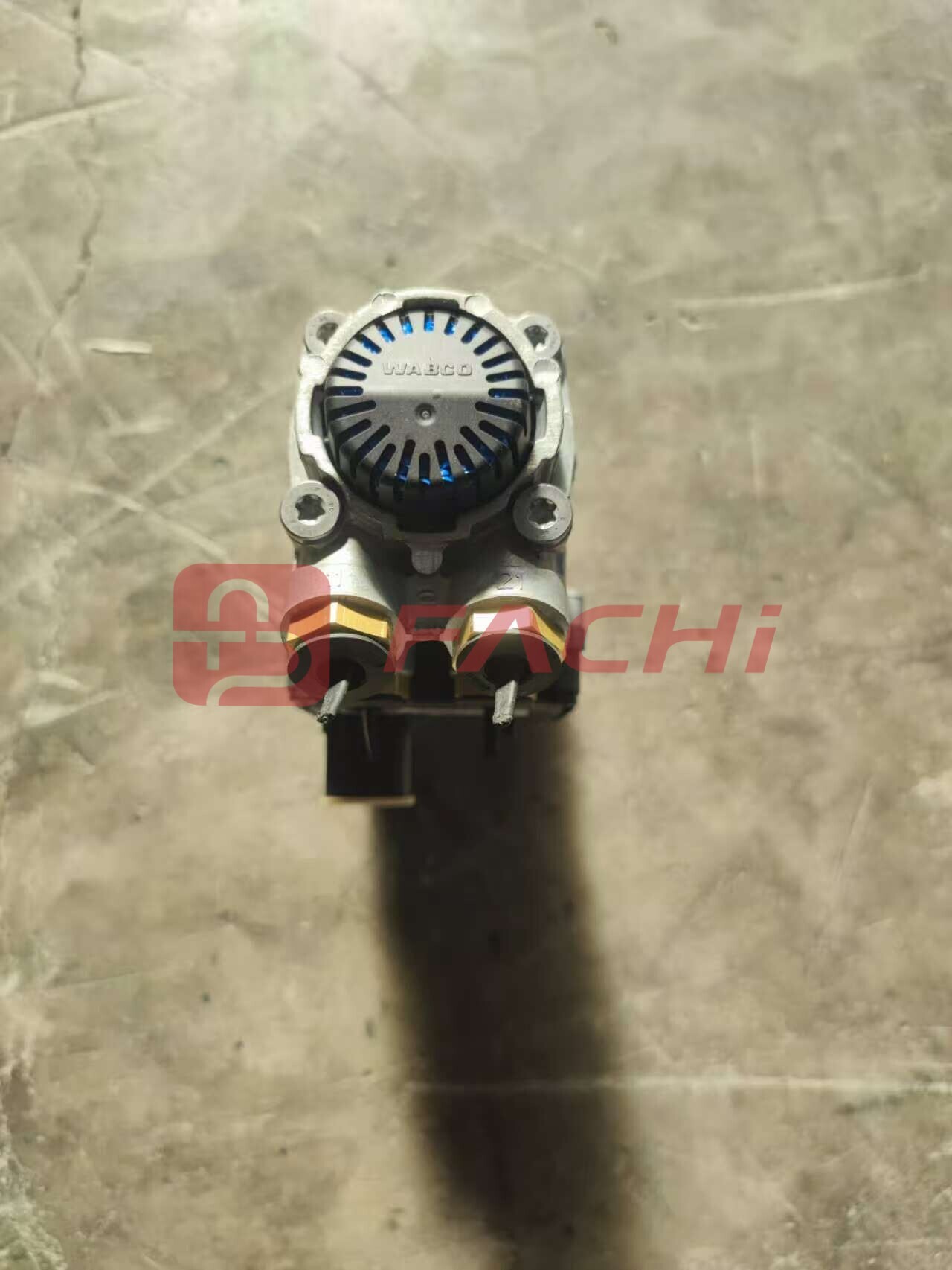 WG9000360550