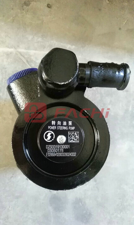 DZ93319130001