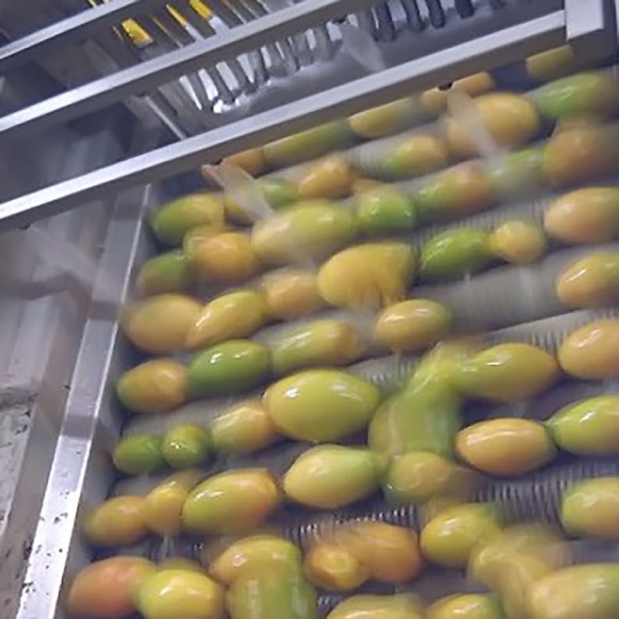 Хорошее качество линии по переработке сока и мякоти манго