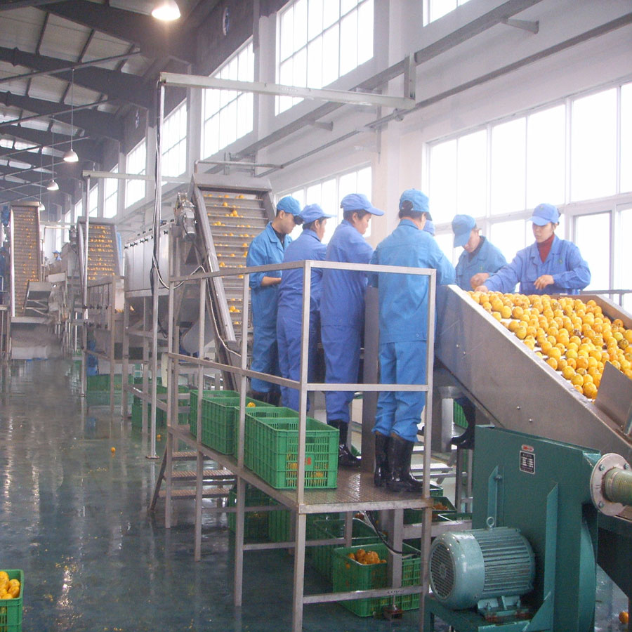 Línea de procesamiento de jugo de naranja y cítricos Venta directa de fábrica
