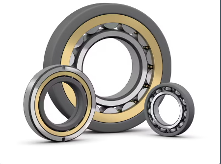 Insocoat Cylindrical Roller Bearings