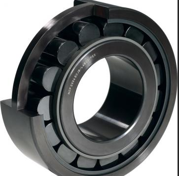 High-Capacity Cylindrical Roller Bearings