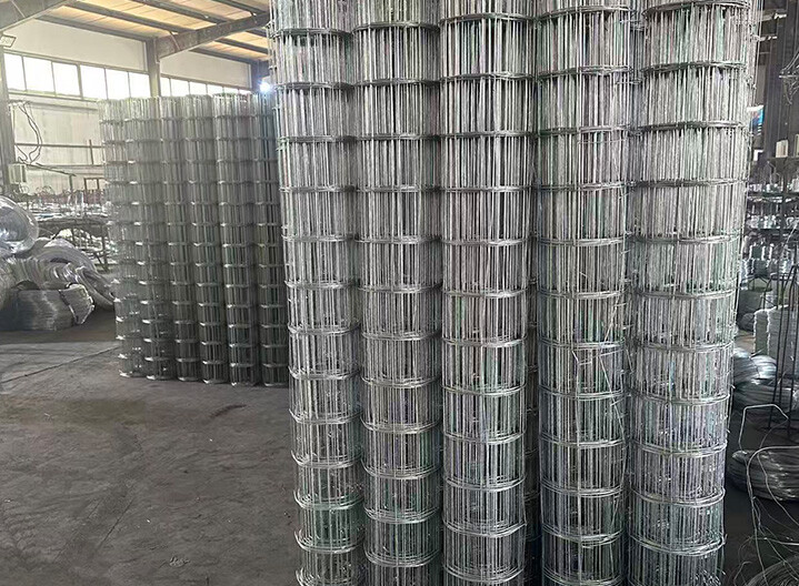 Galvanized Wire Mesh Galvanized Wire Mesh