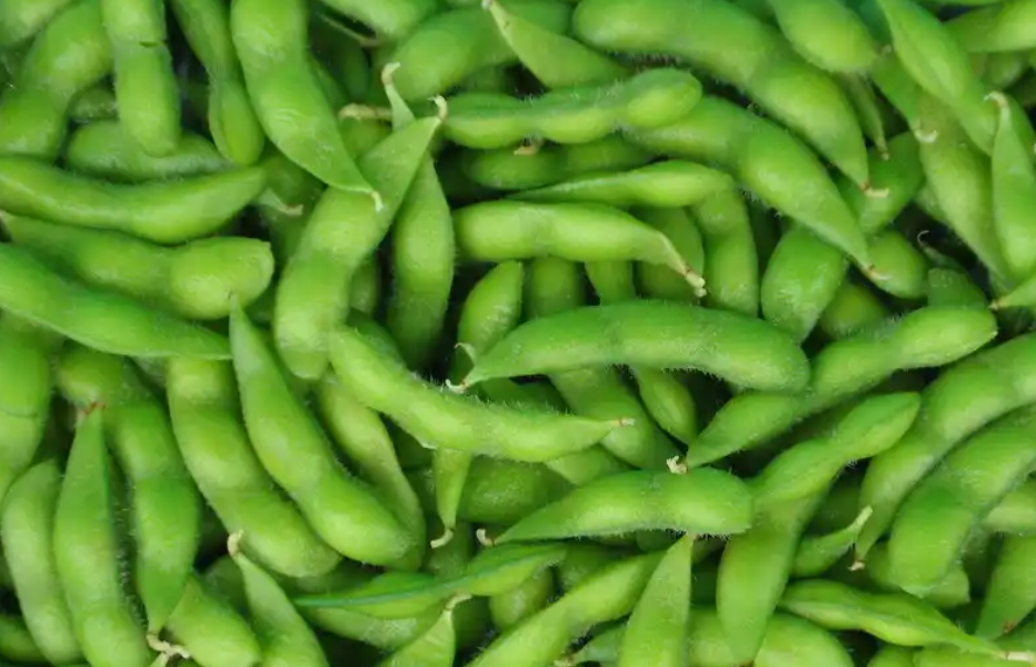 Edamame
