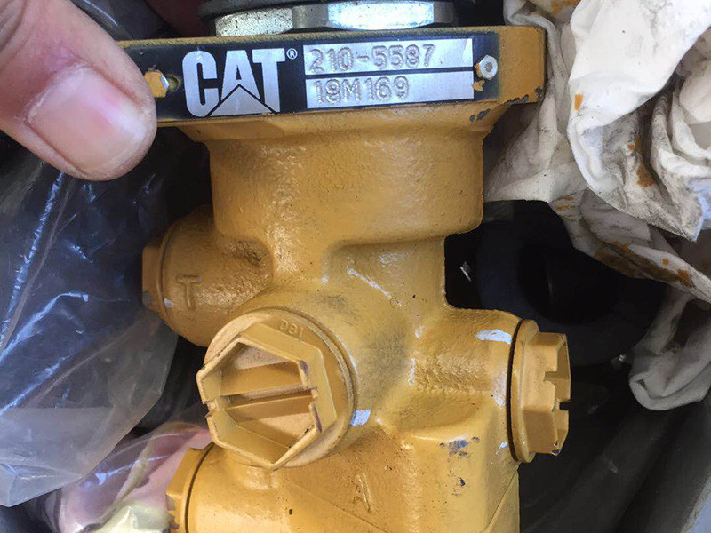 cat 1.JPG