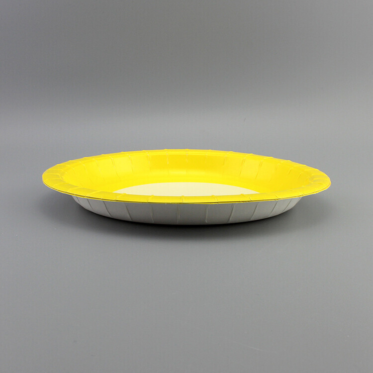 Round Printed Paper Plate