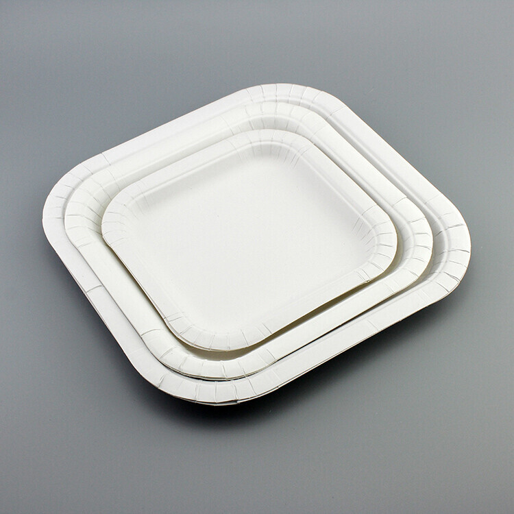 Square Paper Plate