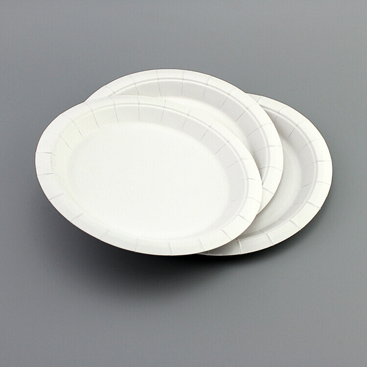 Round white paper plate with wide rim