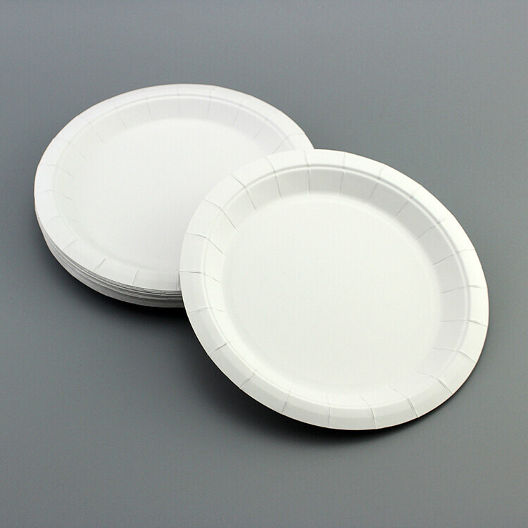 Round white paper plate with wide rim