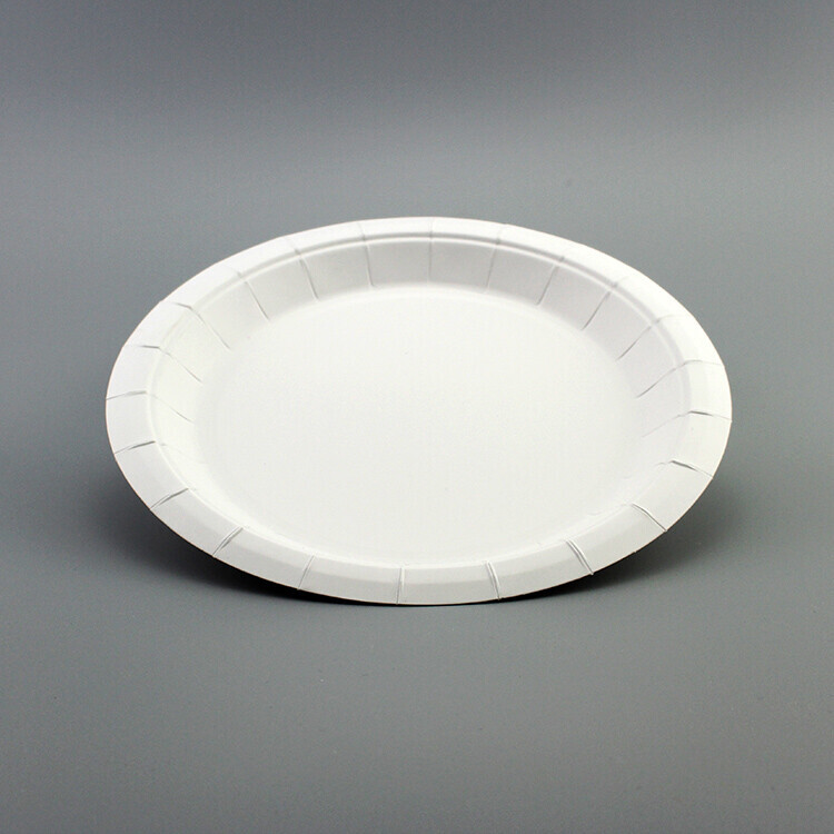 Round white paper plate with wide rim