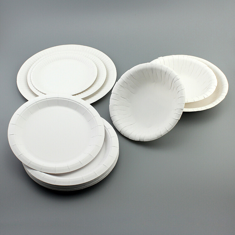 Round white paper plate with wide rim