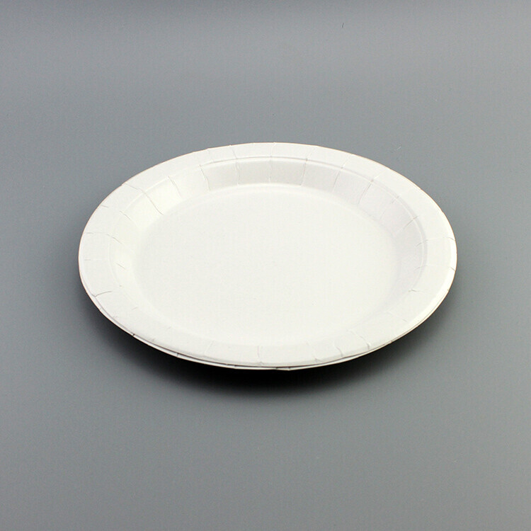 Round white paper plate with wide rim