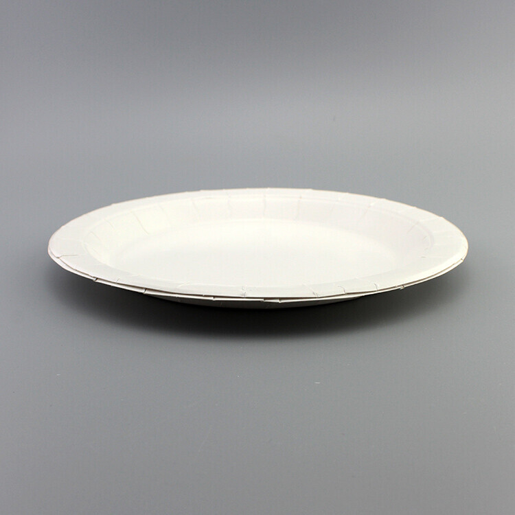 Round white paper plate with wide rim