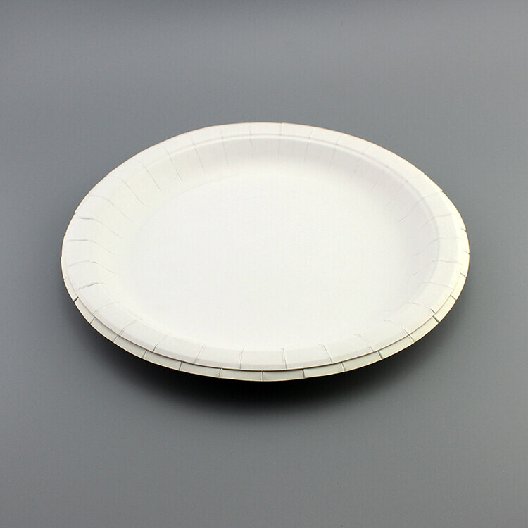 Round white paper plate with wide rim