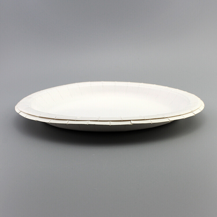 Round white paper plate with wide rim