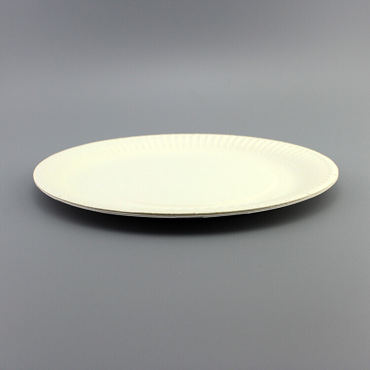 Round White Paper Plate