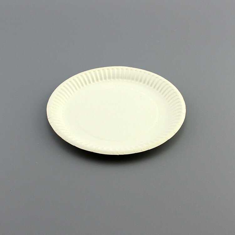 Round White Paper Plate