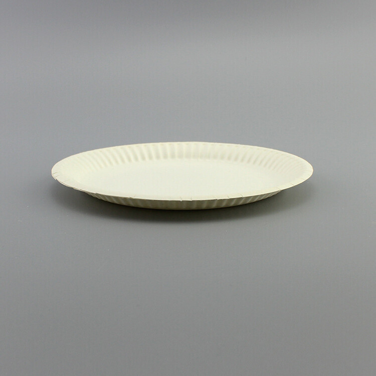 Round White Paper Plate