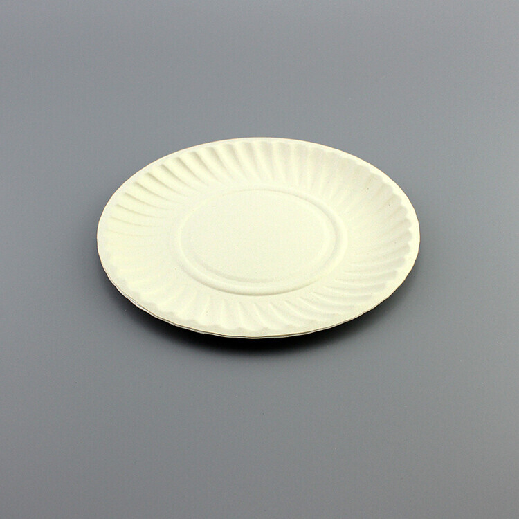 Round White Paper Plate