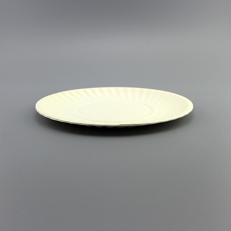 Round White Paper Plate