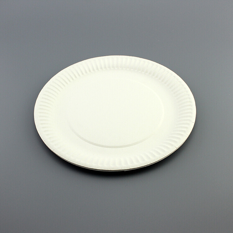 Round White Paper Plate