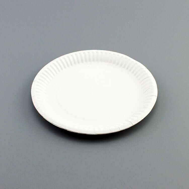 Round White Paper Plate