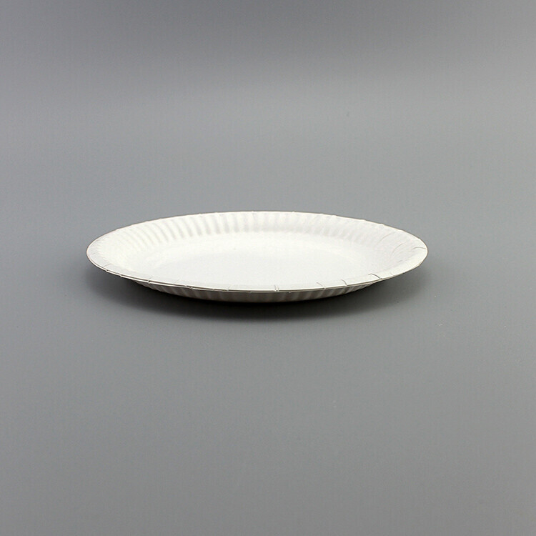 Round White Paper Plate