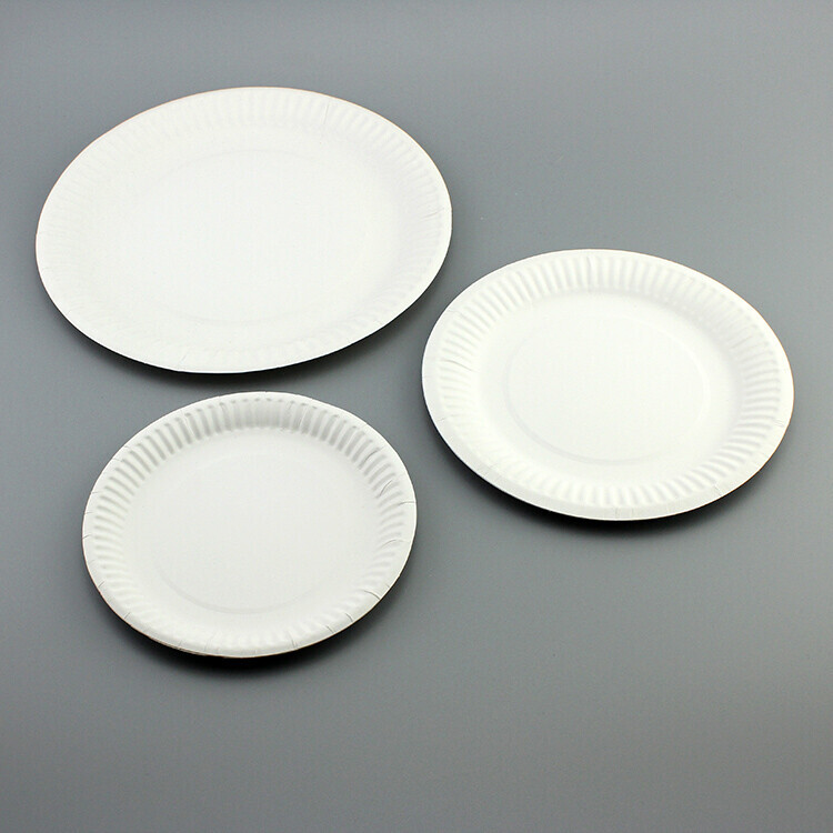Round White Paper Plate