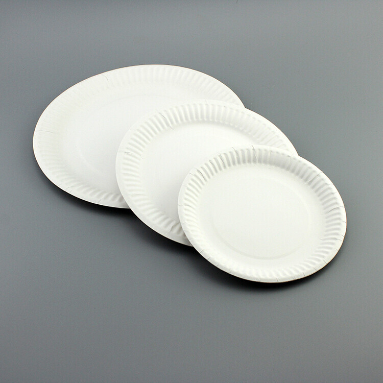 Round White Paper Plate