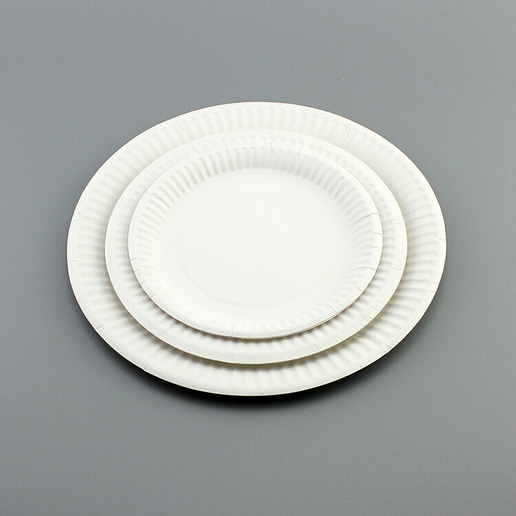 Round White Paper Plate