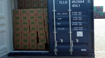 Paper Plates Ready to USA