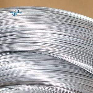 S220 Galvanized Steel Wire