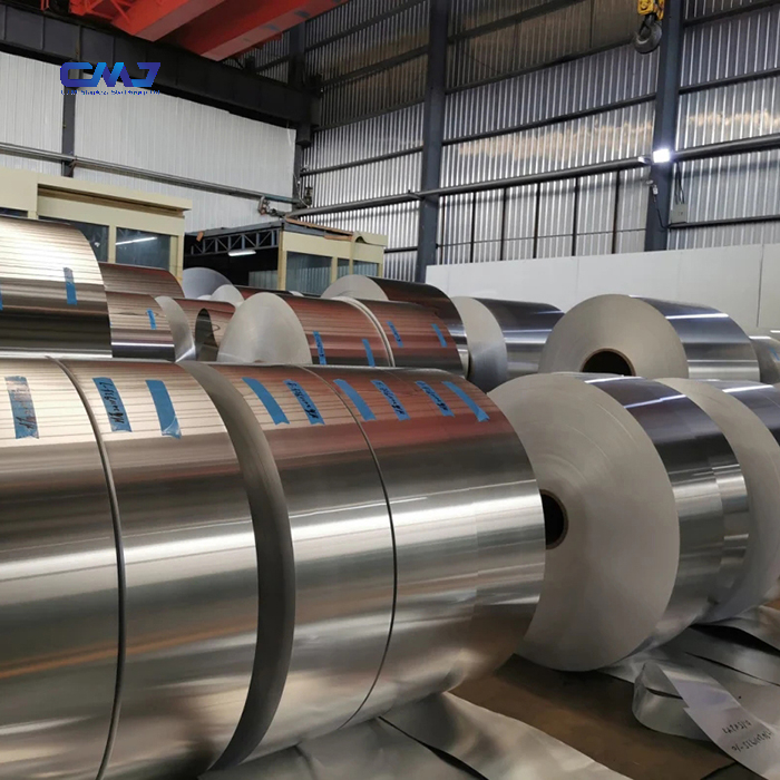 Stainless Steel Strip