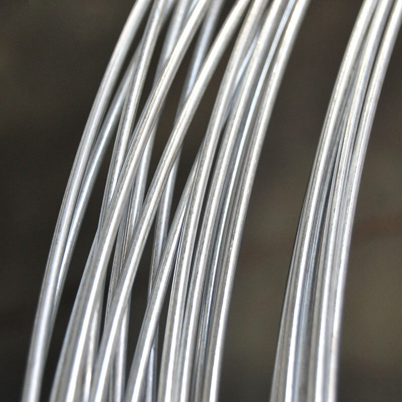 SAE 1008 Steel Wire Rod
